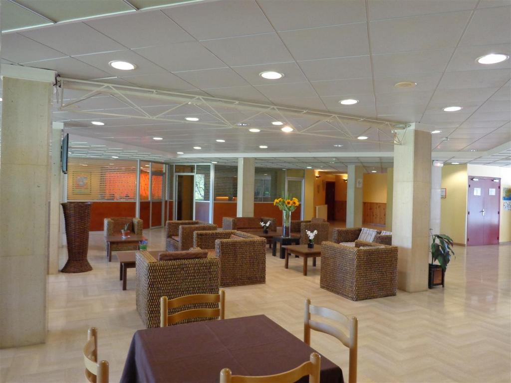 Appartement Le Domaine Des Oliviers à Saint-Cyr-sur-Mer Extérieur photo