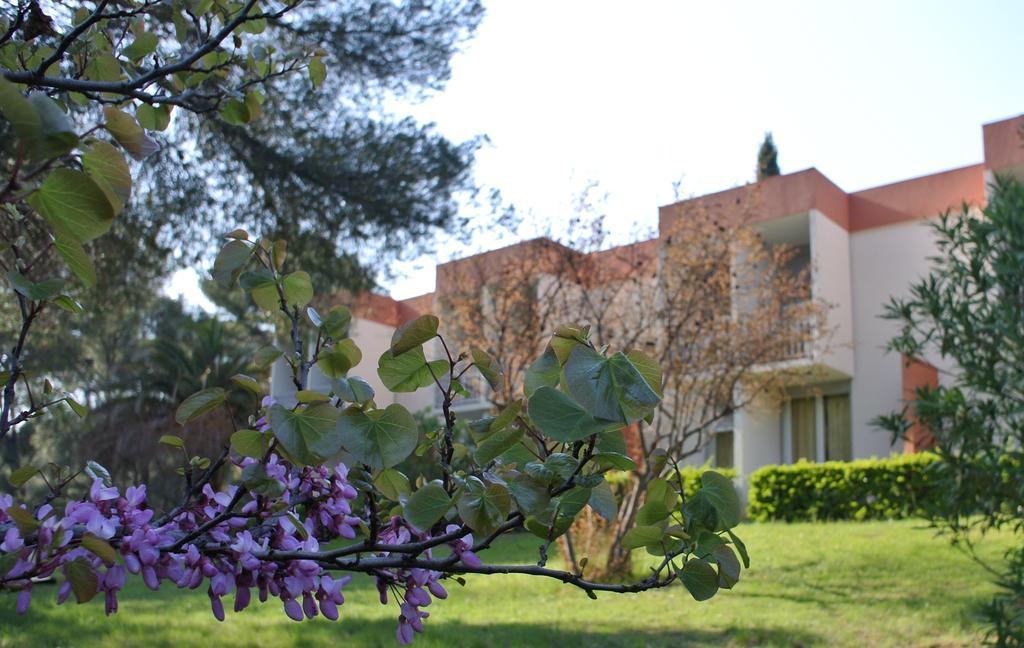 Appartement Le Domaine Des Oliviers à Saint-Cyr-sur-Mer Extérieur photo